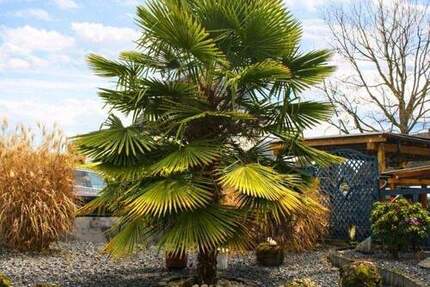 Haus Neuwied (Feldkirchen) Feldkirchen - 3 Zimmer, 122 m&sup2;, 298.000&euro; | Angebot:25746940