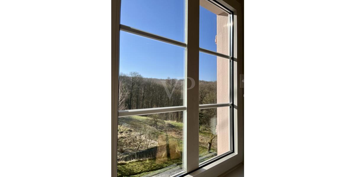 Etagenwohnung Koblenz Arenberg-Immendorf - 4 Zimmer, 145 m&sup2;, 1.595&euro; | Angebot:25384376