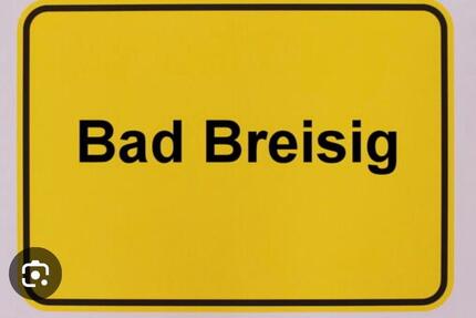 Wohnung Bad Breisig - 2 Zimmer, 64 m&sup2;, 114.500&euro; | Angebot:26946821