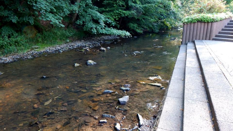 Etagenwohnung Mayen - 1 Zimmer, 10 m&sup2;, 315&euro; | Angebot:24756396