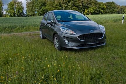 Ford Fiesta 17.400 km 13.499 &euro; Stahlhofen 56412