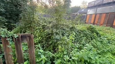 TOPLAGE FÜR IHREN TRAUM VOM EIGENHEIM - Grundstück Sinzig | Angebot:27663231