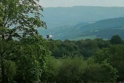 Wohnung Dahlheim - 2 Zimmer, 54 m&sup2;, 470&euro; | Angebot:25995729