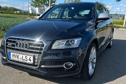 Audi SQ5 159.500 km 20.500 &euro; Lonnig 56295