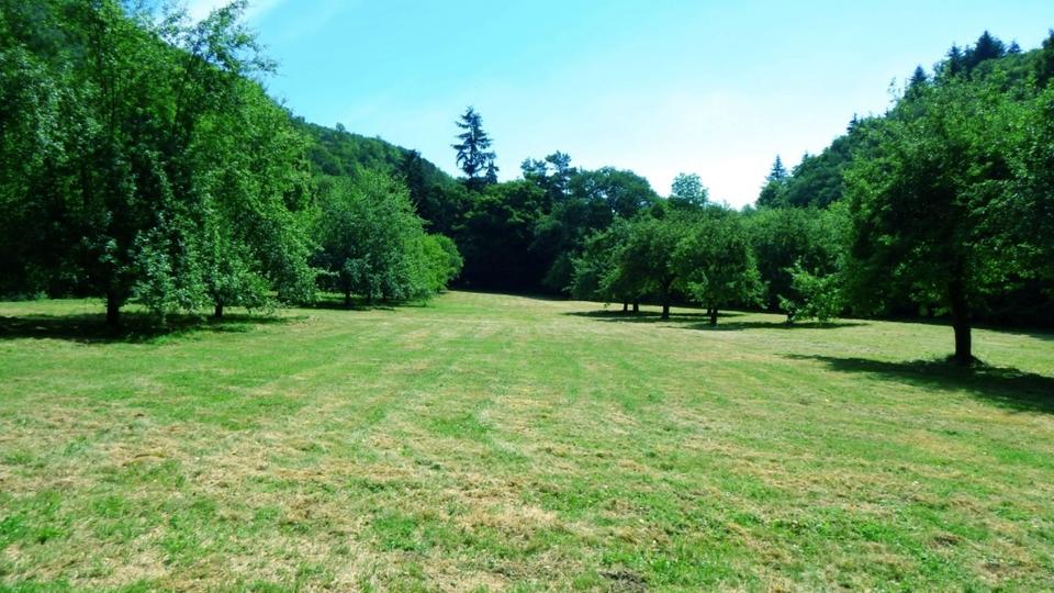 Etagenwohnung Mayen - 1 Zimmer, 10 m&sup2;, 315&euro; | Angebot:24756396