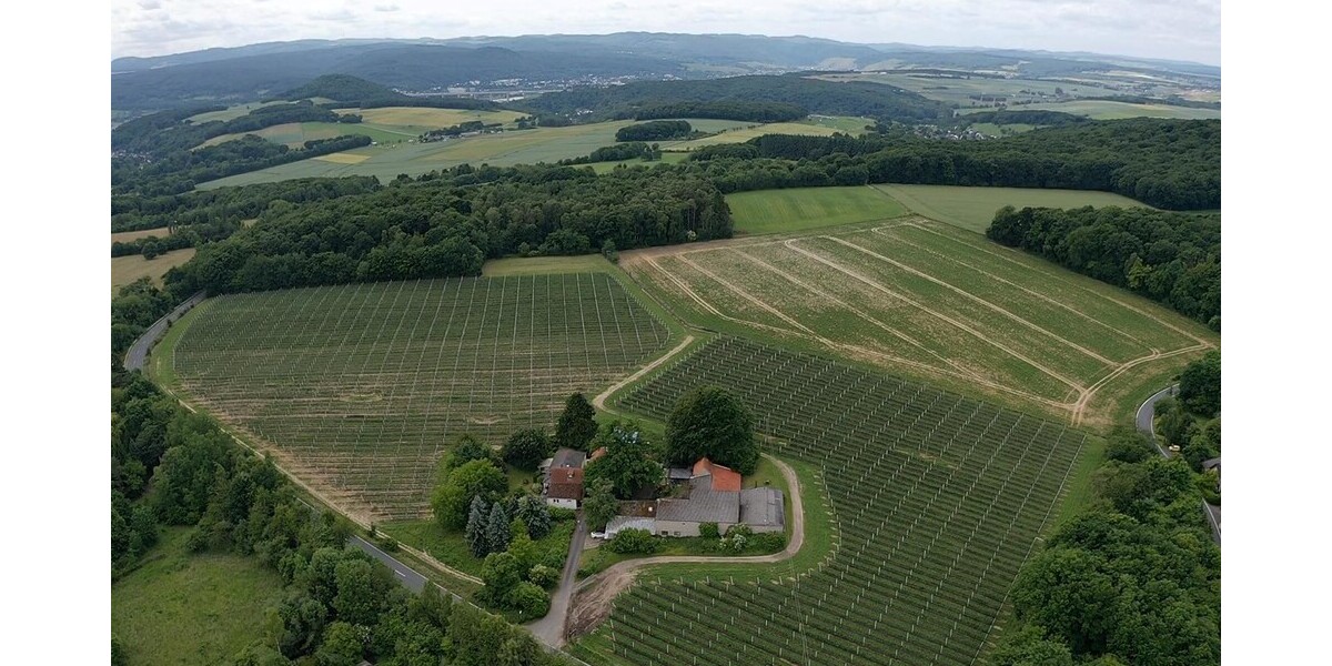 Der Neuenhof - Gewerbeobjekt Remagen | Angebot:24748296