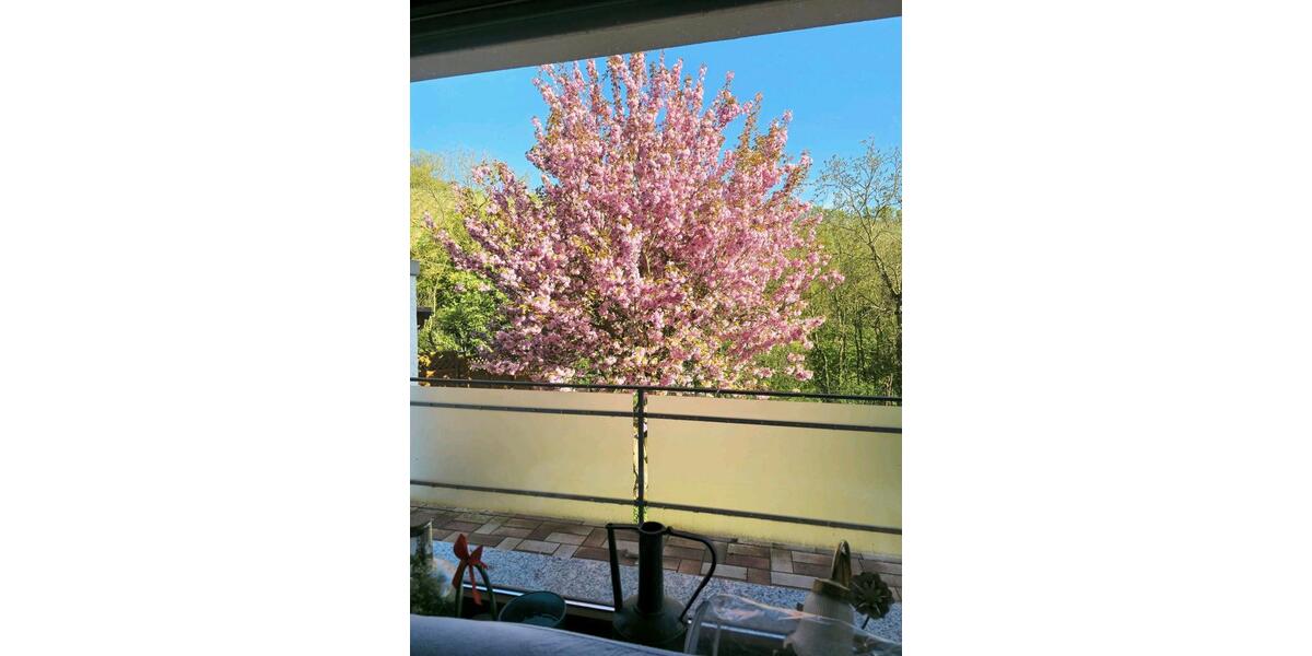 Erdgeschoßwohnung Dieblich - 6 Zimmer, 182 m&sup2;, 1.350&euro; | Angebot:25647040