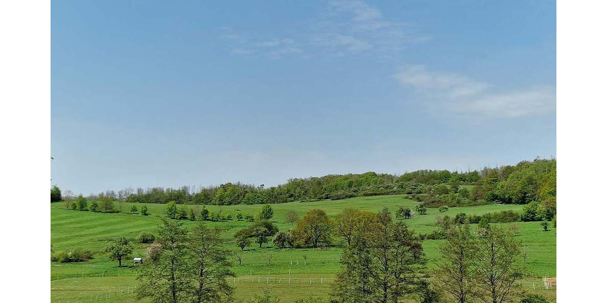 Neubau - Eigentumswohnung KfW 55 mit Balkon - Dachgeschoßwohnung Ötzingen Sainerholz | Angebot:25079567