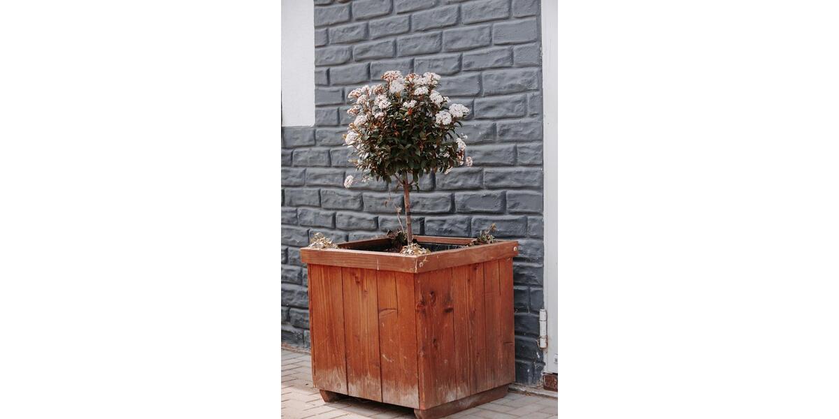 Maisonettenwohnung Sankt Katharinen - 3 Zimmer, 68 m&sup2;, 990&euro; | Angebot:25659939