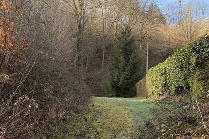 Grundstück Leubsdorf Hesseln - 187.000&euro; | Angebot:26741406