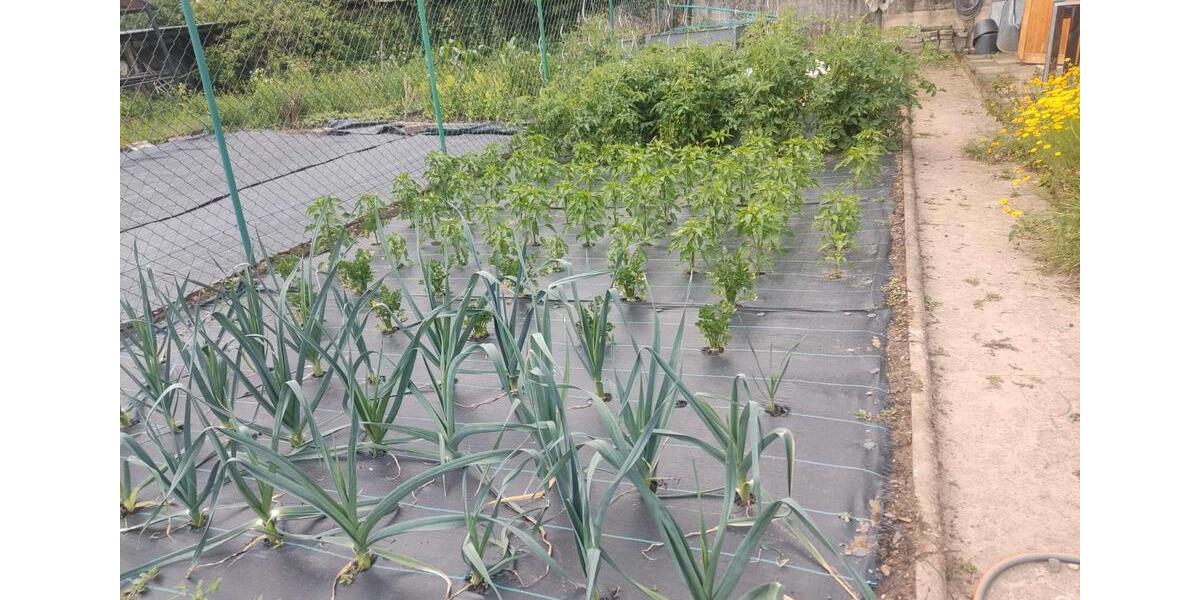 Mehrfamilienhaus, Wohnhaus Dieblich - 10 Zimmer, 230 m&sup2;, 275.000&euro; | Angebot:24679520