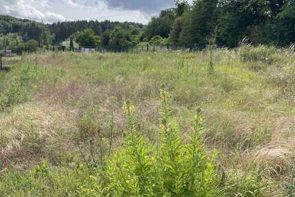 Grundstück Bassenheim - 286.960&euro; | Angebot:25483743