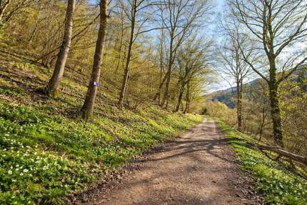 Grundstück Dausenau - 89.000&euro; | Angebot:25328772