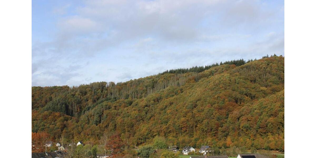 Etagenwohnung Breitscheid - 2 Zimmer, 70 m&sup2;, 775&euro; | Angebot:23405486