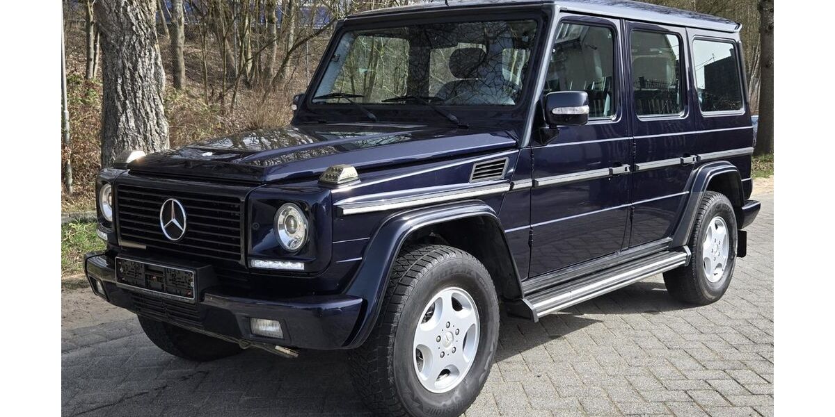Mercedes-Benz G 320 212.228 km 29.999 &euro; Selters 56242