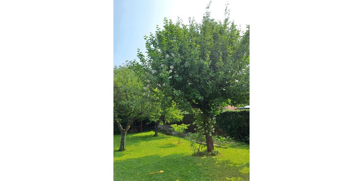 Etagenwohnung Vettelschoß - 2 Zimmer, 105 m&sup2;, 1.400&euro; | Angebot:25269691