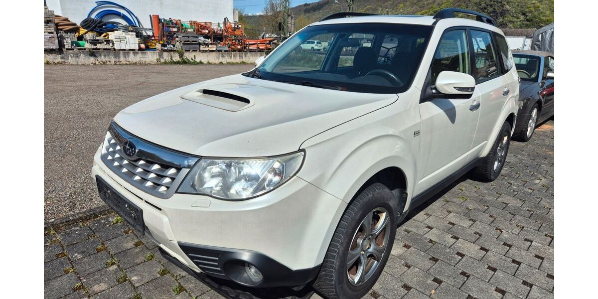 Subaru Forester 307.000 km 3.590 &euro; Boppard/Bad Salzig 56154