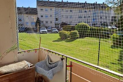 Wohnung Koblenz Karthause - 2 Zimmer, 51 m&sup2;, 765&euro; | Angebot:26476589