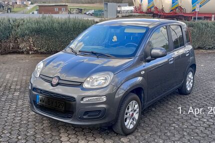 Fiat New Panda 49.000 km 7.990 &euro; Montabaur 56410