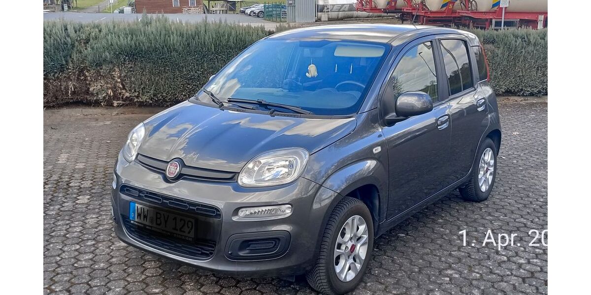 Fiat New Panda 49.000 km 7.990 &euro; Montabaur 56410