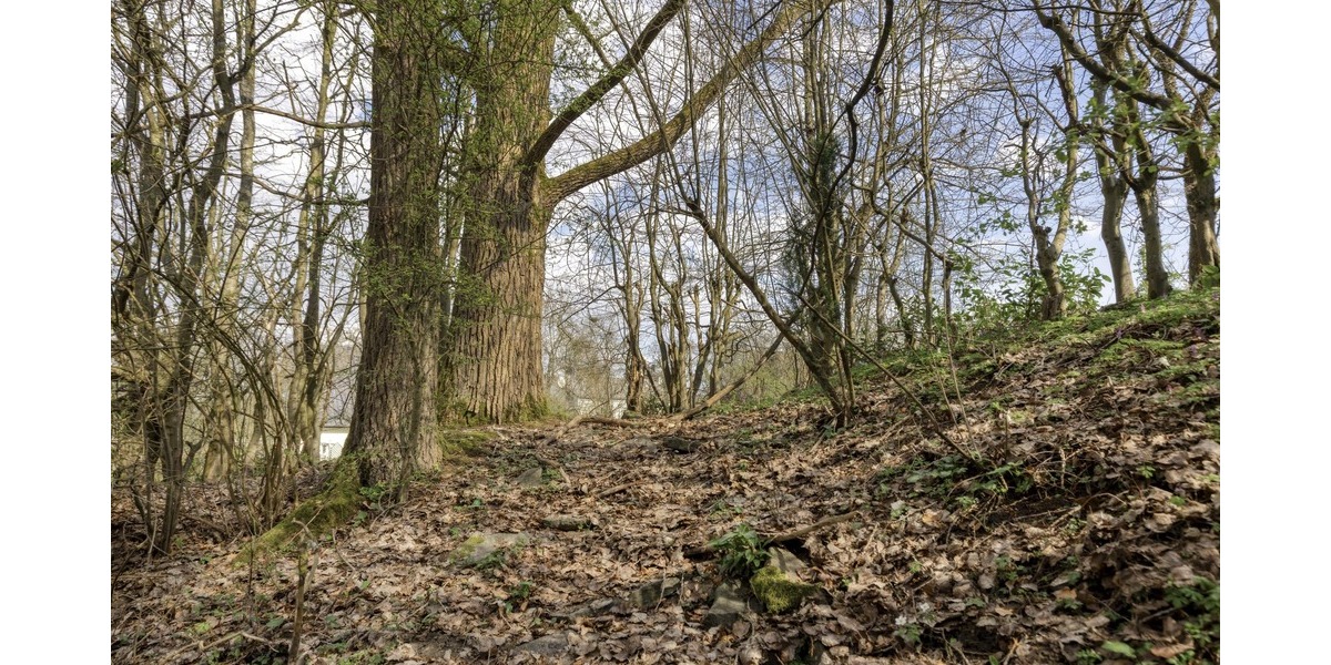 Solides Haus mit großem Garten in Aussichtslage ! - Einfamilienhaus Staudt | Angebot:25942745