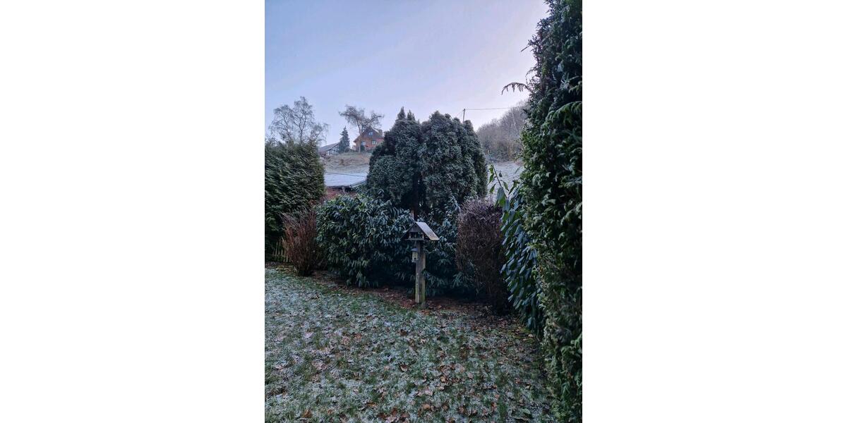 Einfamilienhaus Neustadt (Wied) Hombach - 35.000&euro; | Angebot:25207488