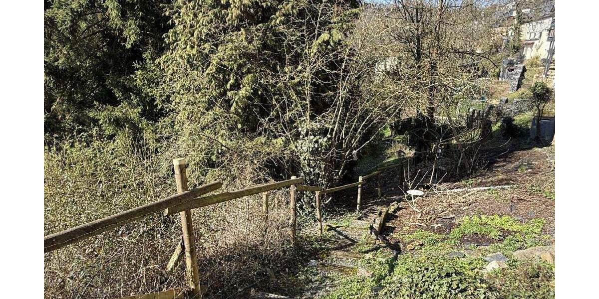 Gewerbeobjekt Nassau Bergnassau - 2 Zimmer, 178.000&euro; | Angebot:25879796