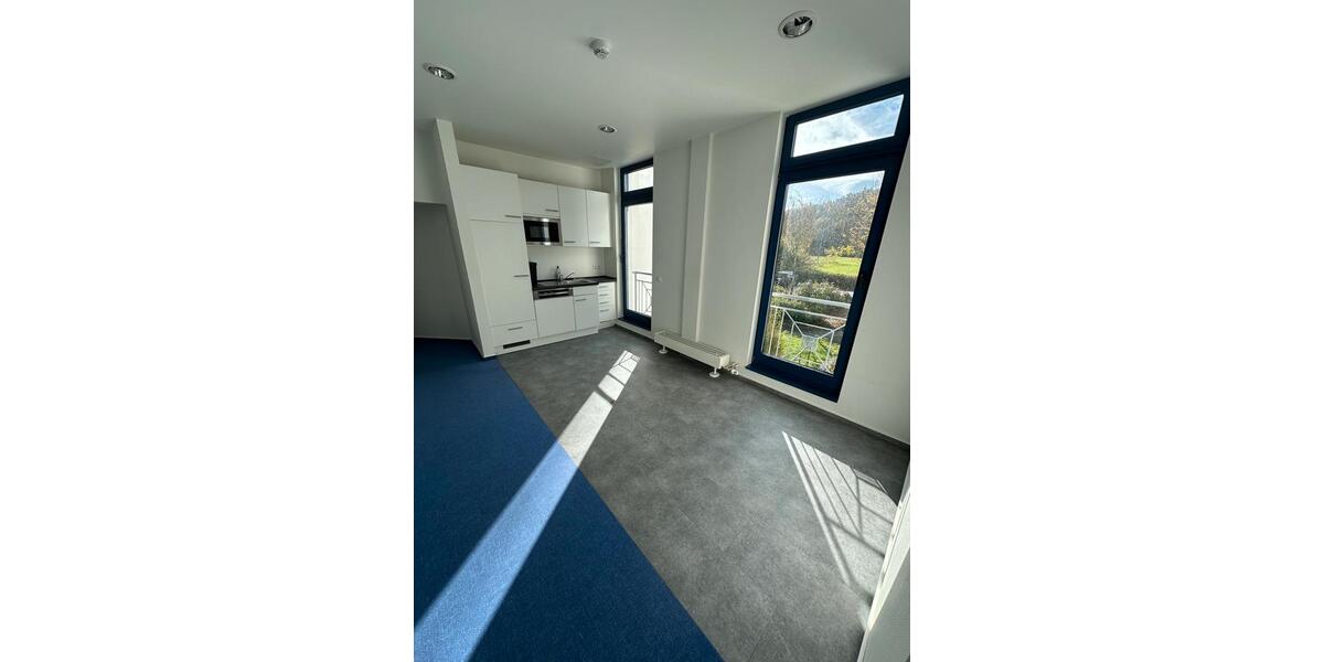 Erdgeschoßwohnung Oberlahr - 13 Zimmer, 358 m&sup2;, 195.000&euro; | Angebot:25536106