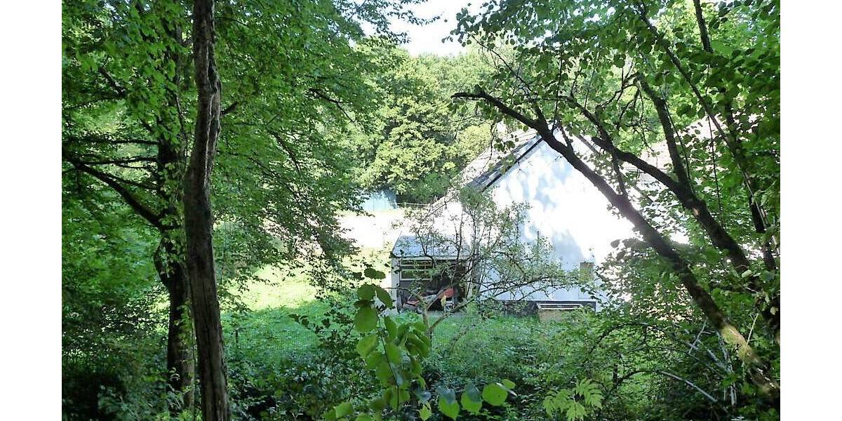 Mehrfamilienhaus, Wohnhaus Flammersfeld - 1.200.000&euro; | Angebot:25698568