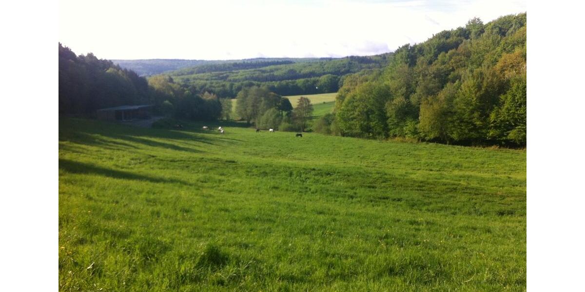 Etagenwohnung Boppard - 3 Zimmer, 90 m&sup2;, 750&euro; | Angebot:25634400