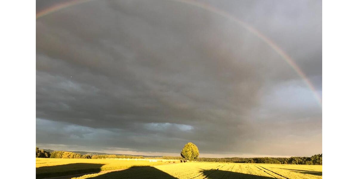 Einfamilienhaus Remagen - 5 Zimmer, 175 m&sup2;, 795.000&euro; | Angebot:24395927