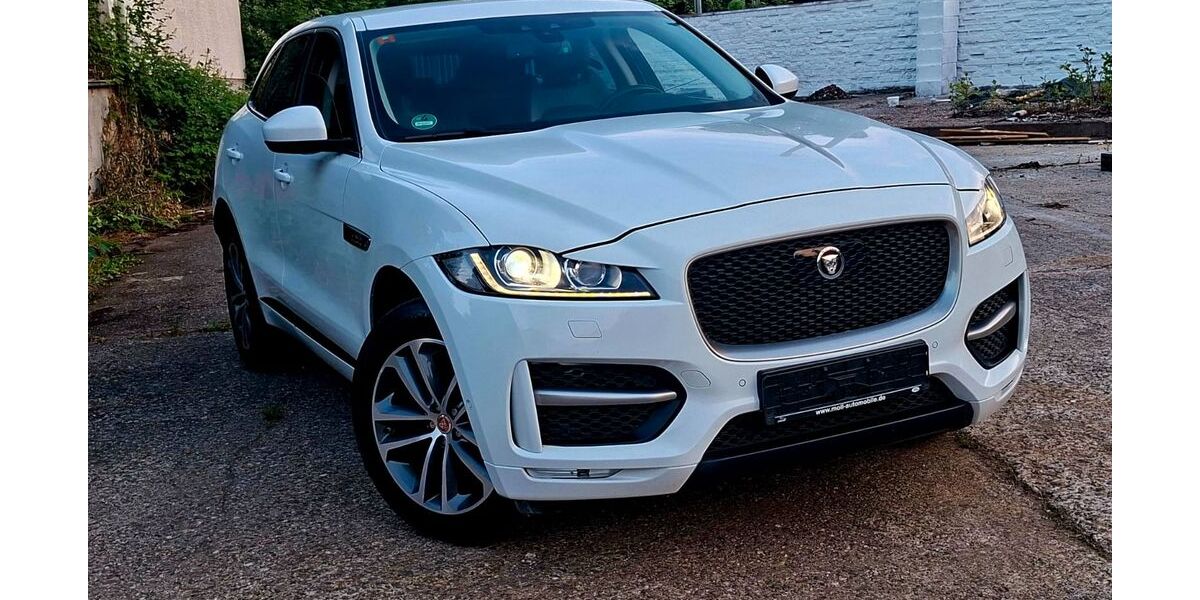 Jaguar F-Pace 194.464 km 17.399 &euro; Buchholz 53567
