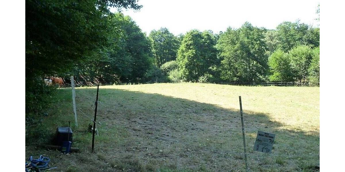 Mehrfamilienhaus, Wohnhaus Flammersfeld - 1.200.000&euro; | Angebot:25698568