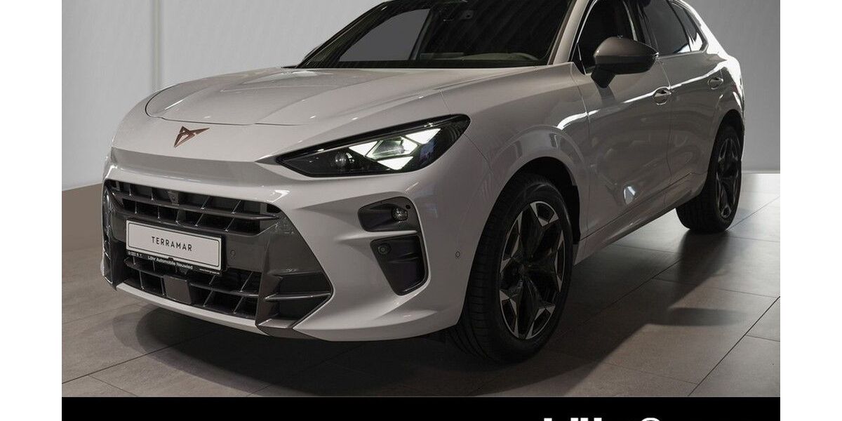 Cupra Terramar 8.900 km 41.920 &euro; Neuwied 56564