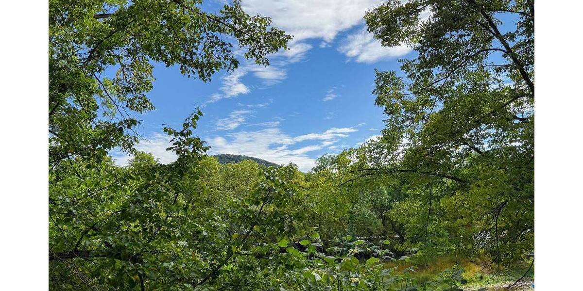 Terrassenwohnung Bad Neuenahr-Ahrweiler Bad Neuenahr - 3 Zimmer, 107 m&sup2;, 328.000&euro; | Angebot:25742974