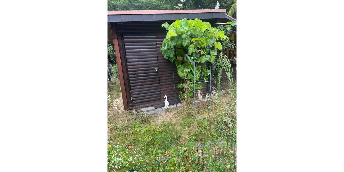 Einfamilienhaus Sankt Katharinen - 2 Zimmer, 37 m&sup2;, 29.250&euro; | Angebot:22249621