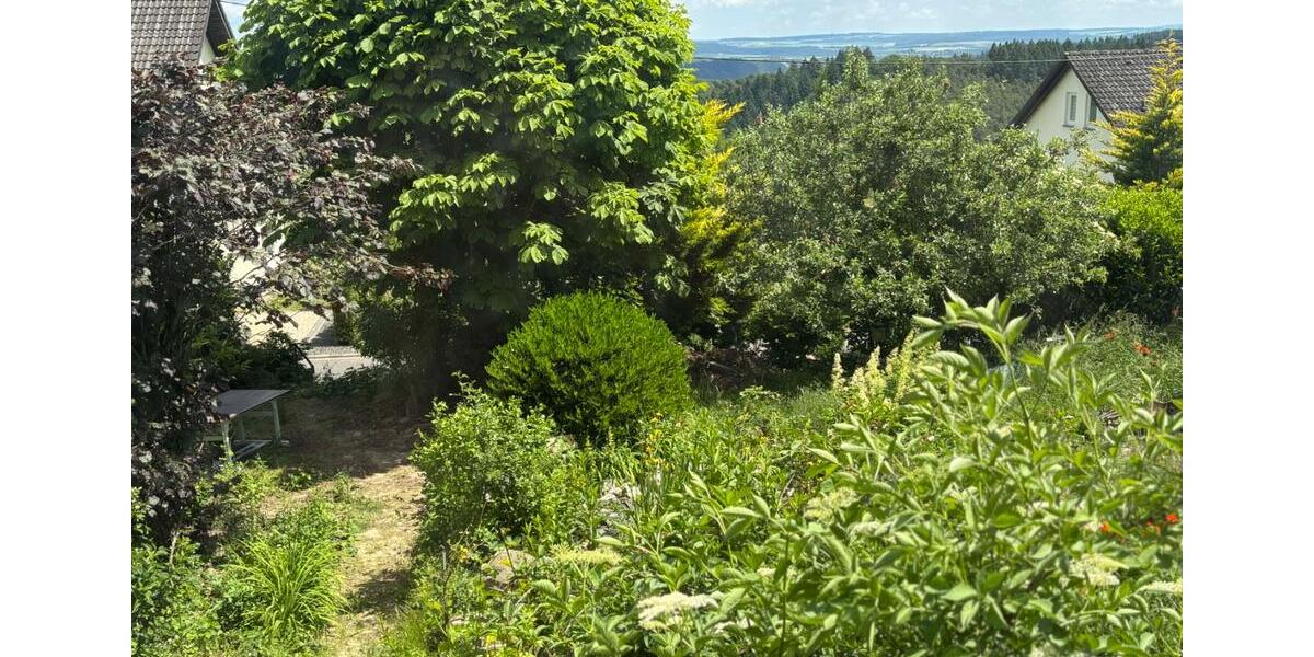 Etagenwohnung Boppard - 8 Zimmer, 250 m&sup2;, 400&euro; | Angebot:25872299