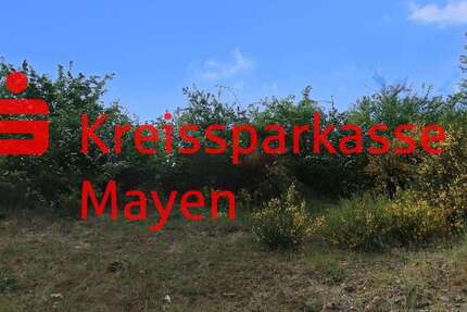 Grundstück Mayen - 125.000&euro; | Angebot:25920323