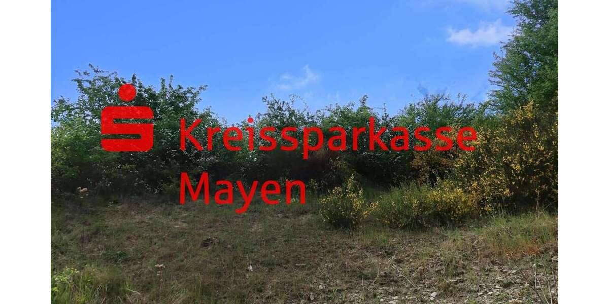 Grundstück Mayen - 125.000&euro; | Angebot:25920323
