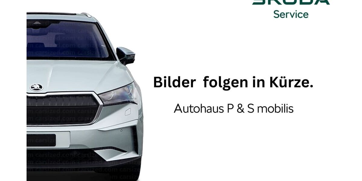 Skoda Scala 22.100 km 23.900 &euro; Neuhäusel 56335