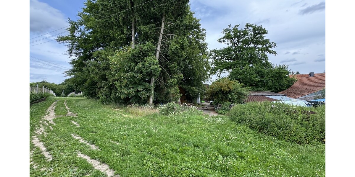 Der Neuenhof - Gewerbeobjekt Remagen | Angebot:24748296