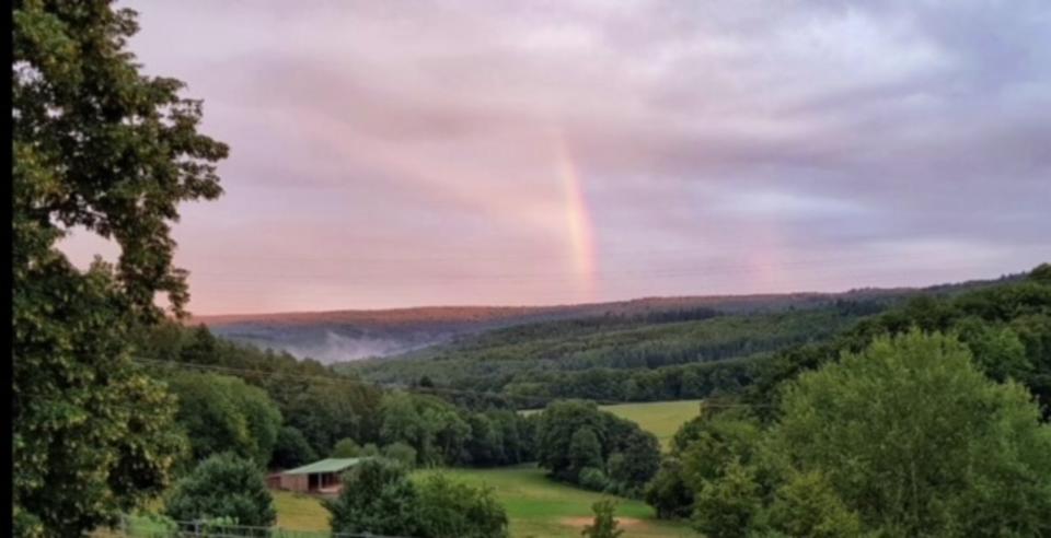 Etagenwohnung Boppard - 3 Zimmer, 90 m&sup2;, 750&euro; | Angebot:25634400