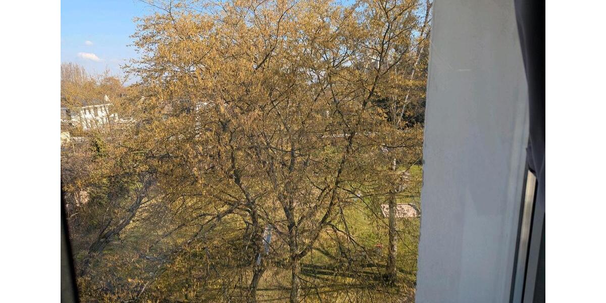 Dachgeschoßwohnung Koblenz Karthause - 1.5 Zimmer, 35 m&sup2;, 620&euro; | Angebot:25840024