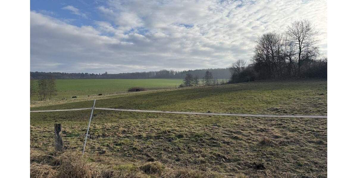 Einfamilienhaus Steimel-Sensenbach Sensenbach - 5 Zimmer, 180 m&sup2;, 320.000&euro; | Angebot:25674387