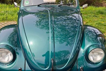 VW Käfer 130.000 km 12.900 &euro; Sinzig 53489