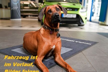 Hyundai i20 25.630 km 13.990 &euro; Oberlahr 57641