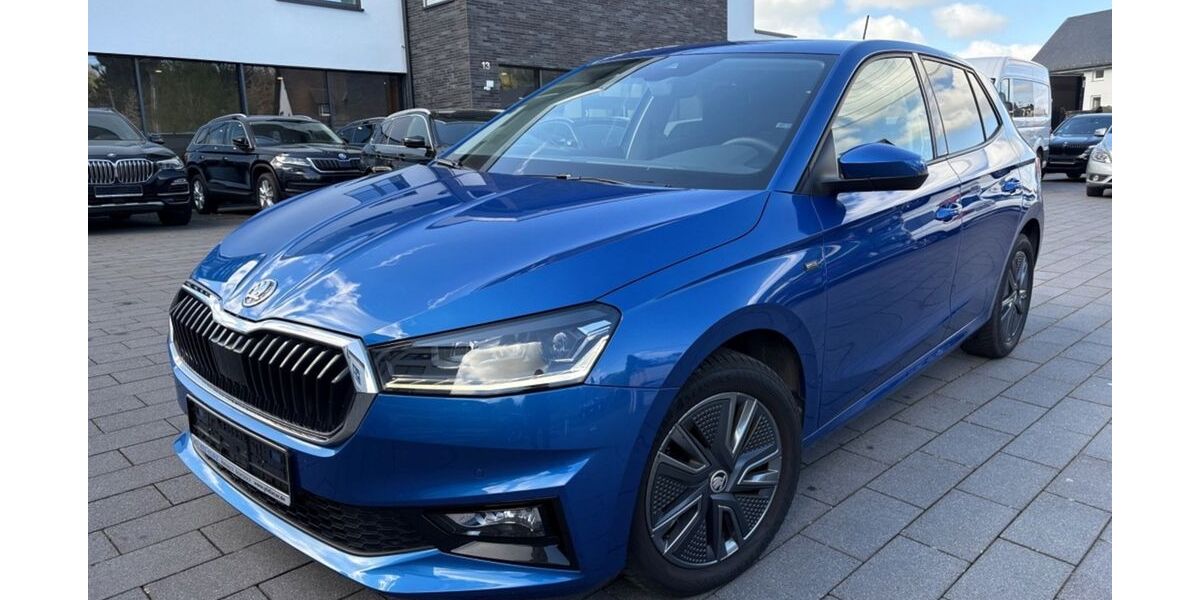 Skoda Fabia 48.000 km 18.890 &euro; Ransbach-Baumbach 56235