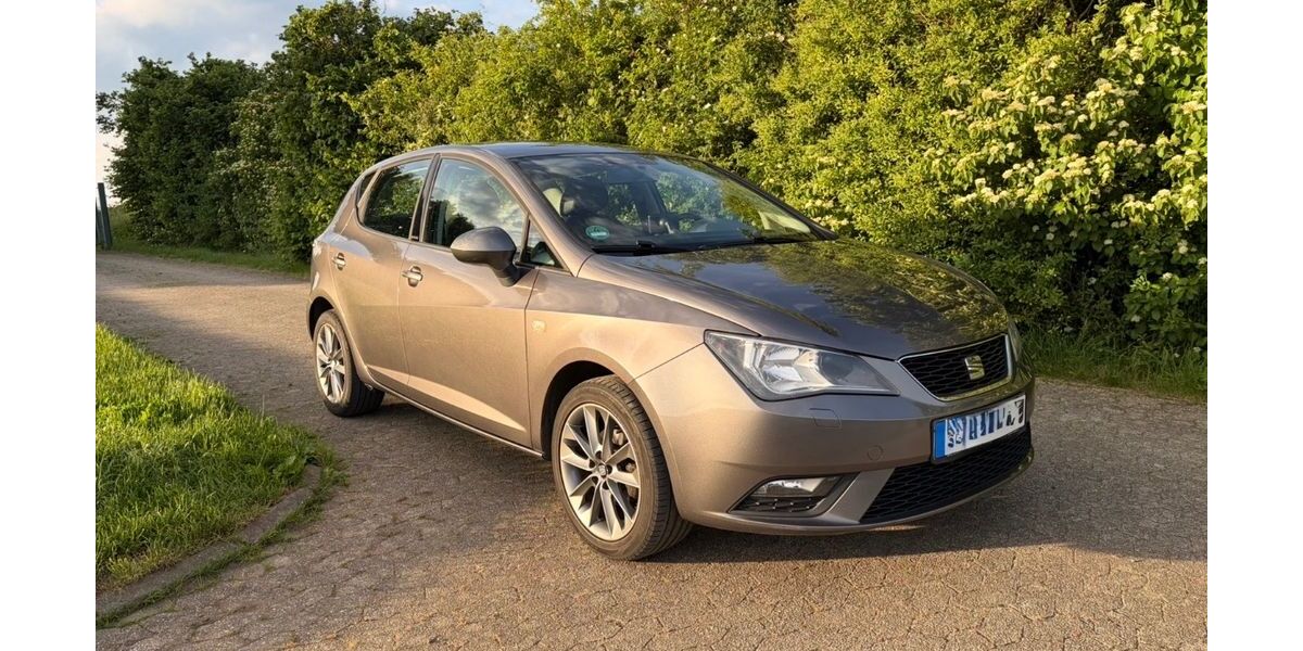 Seat Ibiza 183.200 km 5.000 &euro; Ettringen 56729