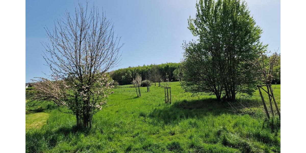 Neubau - Eigentumswohnung KfW 55 mit Balkon - Dachgeschoßwohnung Ötzingen Sainerholz | Angebot:25079567