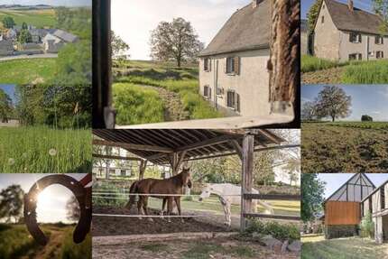 Haus Münstermaifeld Küttig - 5 Zimmer, 140 m&sup2;, 239.000&euro; | Angebot:23483901